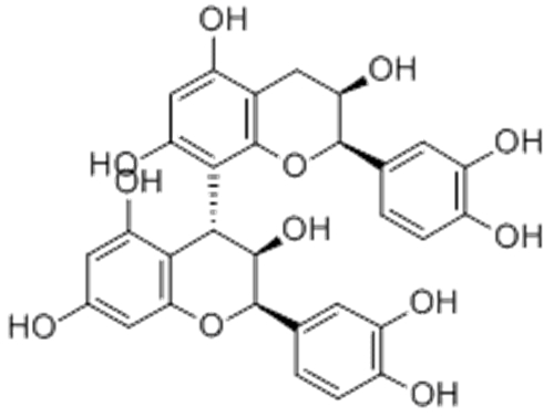 PROCYANIDIN B2 CAS 29106-49-8