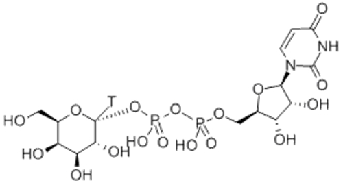 URIDINE 5'-DIPHOSPHO-GALACTOSE-[GALACTOSE-1-3H(N)] CAS 152697-47-7