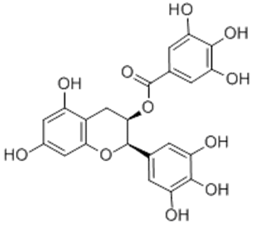 (-)-Epigallocatechin gallate CAS 989-51-5