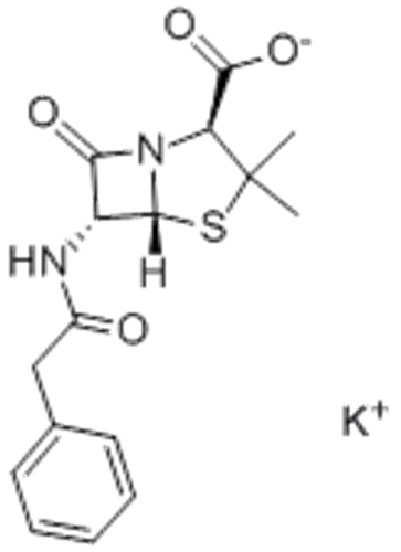 Potassium benzylpenicillin CAS 113-98-4