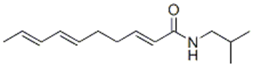 N-ISOBUTYL-2,6,8-DECATRIENAMIDE CAS 25394-57-4