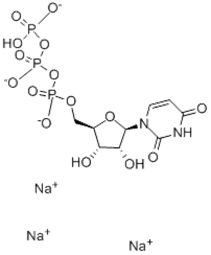 Uridine-5'-triphosphoric acid trisodium salt  CAS 19817-92-6