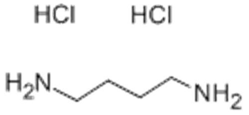 1,4-Diaminobutane dihydrochloride CAS 333-93-7