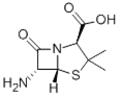 6-Aminopenicillanic acid CAS 551-16-6