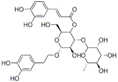 Verbascoside CAS 61276-17-3