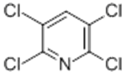 Pyridine,2,3,5,6-tetrachloro- CAS 2402-79-1