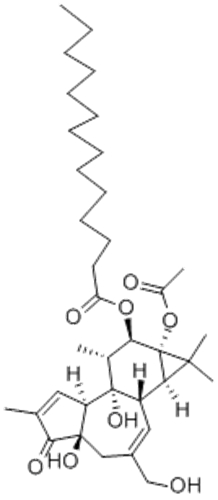 PHORBOL 12-MYRISTATE 13-ACETATE CAS 16561-29-8