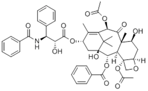 Paclitaxel CAS 33069-62-4
