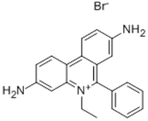 Ethidium bromide CAS 1239-45-8