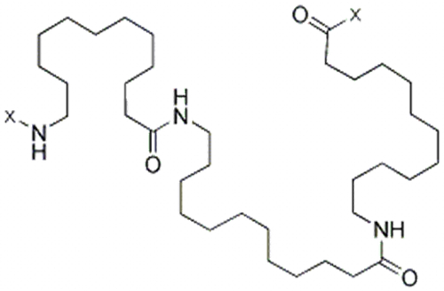 NYLON 12
 CAS 24937-16-4