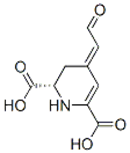 Name: (2S)-4-(2-oxoethylidene)-2,3-dihydro-1H-pyridine-2,6-dicarboxylic acid CAS 18766-66-0