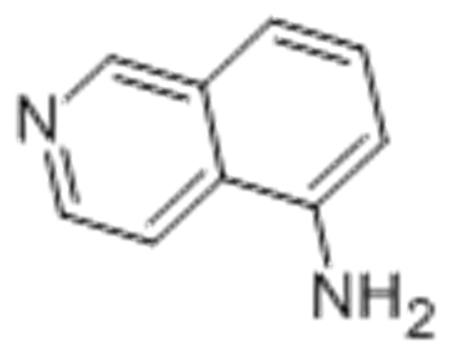5-Aminoisoquinoline CAS 1125-60-6