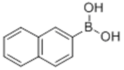 2-Naphthaleneboronicacid CAS 32316-92-0