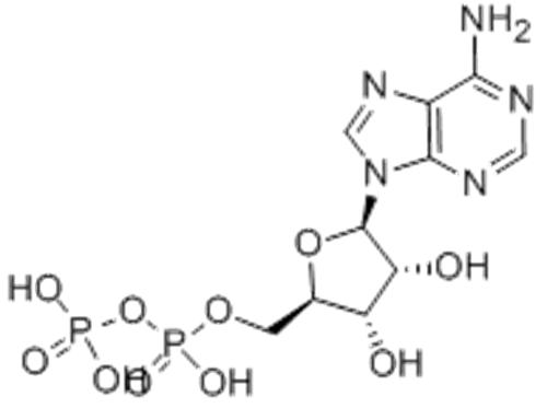 Adenosine5'-(trihydrogen diphosphate) CAS 58-64-0