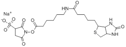 Name: Hexanoic acid,6-[[5-[(3aS,4S,6aR)-hexahydro-2-oxo-1H-thieno[3,4-d]imidazol-4-yl]-1-oxopentyl]amino]-,2,5-dioxo-3-sulfo-1-pyrrolidinyl ester, sodium salt (1:1) CAS 191671-46-2