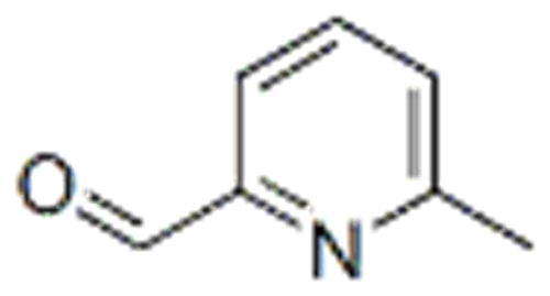 6-Methyl-2-pyridinecarboxaldehyde CAS 1122-72-1