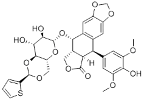 teniposide
  CAS 29767-20-2