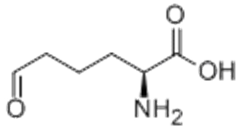 L-2-AMINOADIPATE 6-SEMIALDEHYDE CAS 1962-83-0