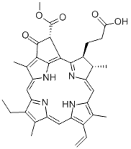 Pheophorbide A CAS 15664-29-6