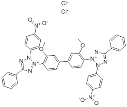 Nitrotetrazolium blue chloride CAS 298-83-9