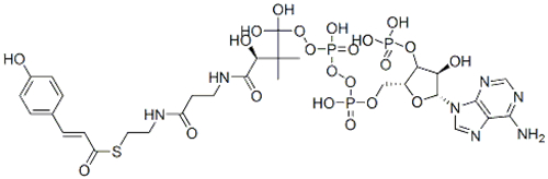 Coenzyme A,S-[(2E)-3-(4-hydroxyphenyl)-2-propenoate] CAS 119785-99-8